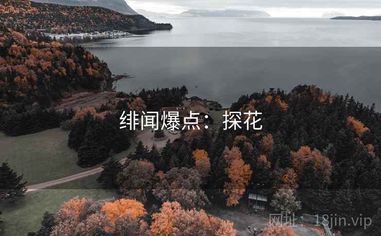 绯闻爆点:探花 绯闻爆点:探花