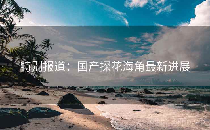 特别报道：国产探花海角最新进展