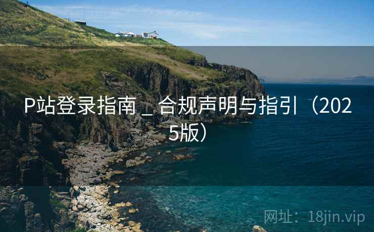 P站登录指南 _ 合规声明与指引（2025版）