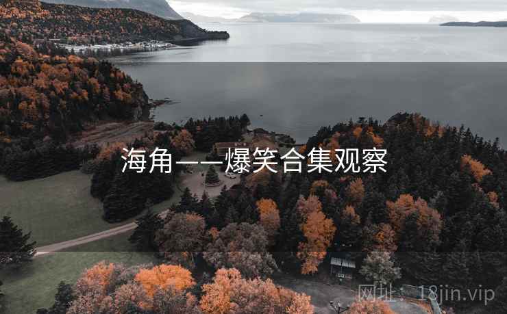 海角——爆笑合集观察